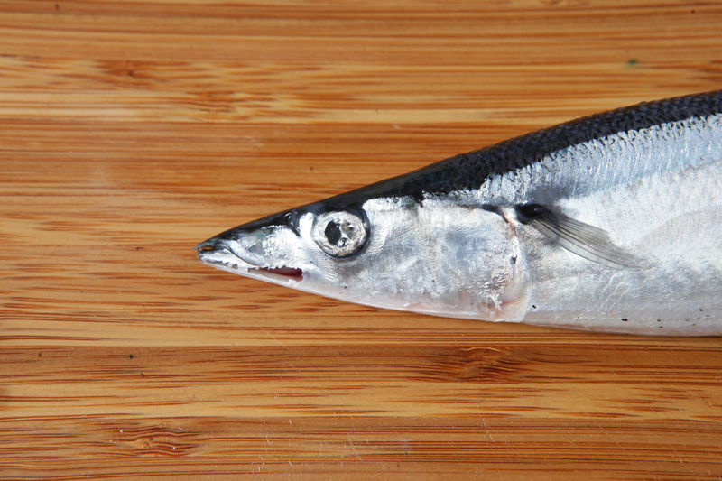 秋刀魚怎么處理？秋刀魚怎么挑選