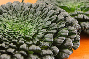 塔菜怎么做好吃？教你塔菜的做法