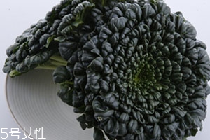 塔菜多少錢一斤？塔菜又稱菊花菜