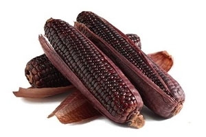 黑玉米怎么吃 可以直接吃哦 黑玉米怎么吃 可以直接吃哦