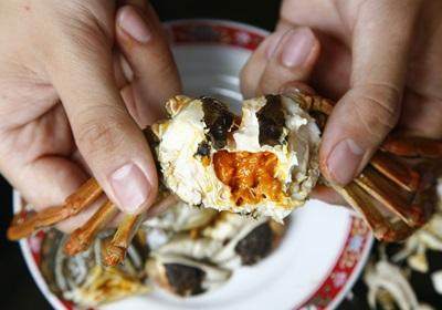 陽澄湖大閘蟹怎么吃？食陽澄湖大閘蟹注意事項