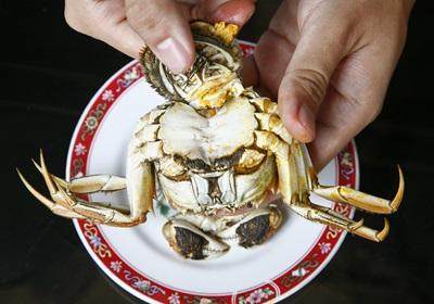 陽澄湖大閘蟹怎么吃？食陽澄湖大閘蟹注意事項