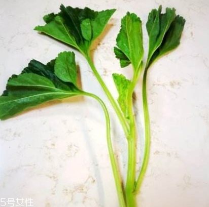 冬寒菜多少錢一斤？