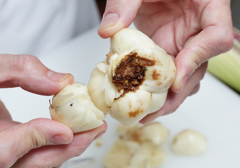 新鮮百合和干百合怎么挑選 新鮮百合和干百合怎么挑選