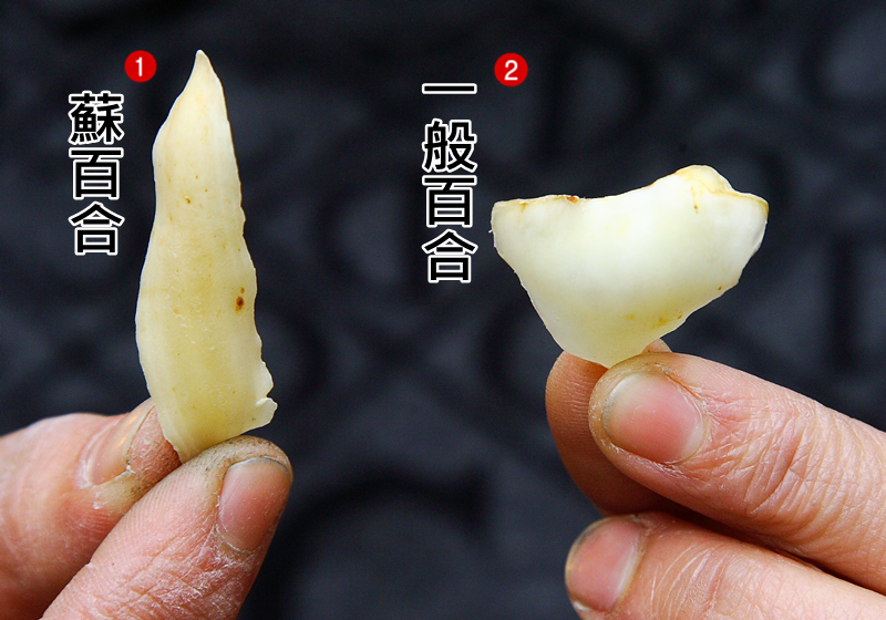 新鮮百合和干百合怎么挑選 新鮮百合和干百合怎么挑選