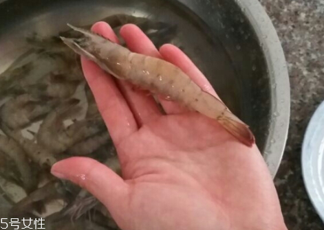 海蝦怎么看新鮮 海蝦的美味做法 海蝦怎么看新鮮 海蝦的美味做法