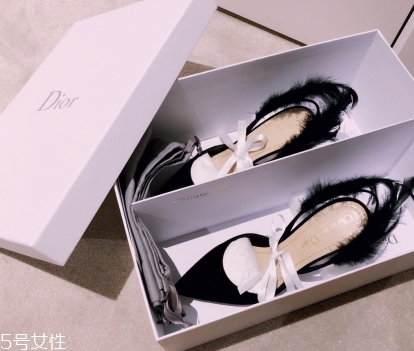 dior高跟鞋多少錢？演繹法式優(yōu)雅