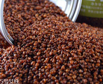 黑苦蕎茶的功效與作用 對(duì)人體非常好 黑苦蕎茶的功效與作用 對(duì)人體非常好