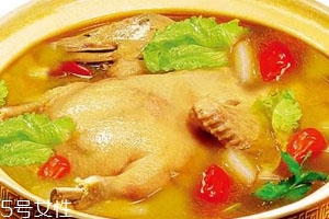 老鴨湯用哪種鴨子 當(dāng)然得選老鴨子 老鴨湯用哪種鴨子 當(dāng)然得選老鴨子