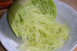 金絲絞瓜多少錢一斤？金絲絞瓜種子哪里有賣