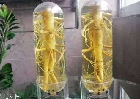 熟地黃泡酒功效作用 四大功效 熟地黃泡酒功效作用 四大功效