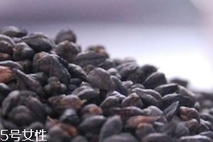 黑苦蕎茶上火嗎？蒸煮法苦蕎茶不上火