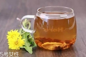 蒲公英茶可以天天喝嗎？不要長期喝