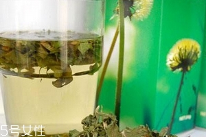 蒲公英茶哪些人不宜喝？這三種人要避開(kāi)