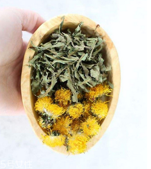 蒲公英茶哪些人不宜喝？這三種人要避開(kāi)