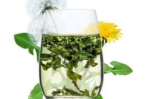 蒲公英茶哪個(gè)牌子好？大牌子值得信賴