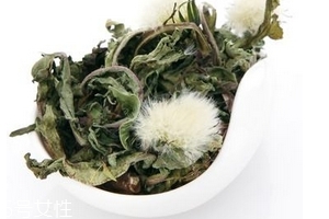 蒲公英茶怎么做？蒲公英茶做法超簡(jiǎn)單