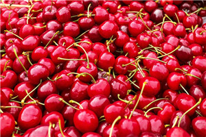 櫻桃怎么挑選 選擇結(jié)實的就對了 櫻桃怎么挑選 選擇結(jié)實的就對了