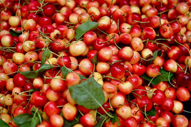 櫻桃怎么挑選 選擇結(jié)實的就對了 櫻桃怎么挑選 選擇結(jié)實的就對了