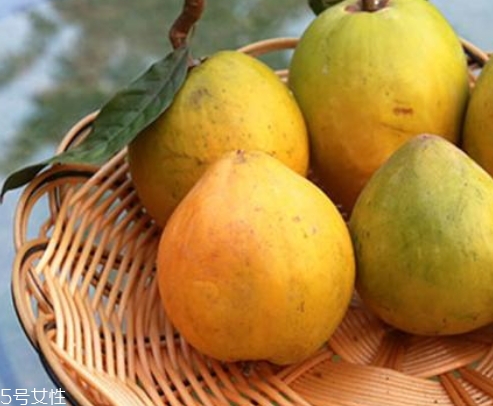 黃晶果多少錢一斤？黃晶果好吃嗎