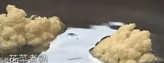 吃花菜可以減肥嗎？熱量低適合減肥時(shí)吃