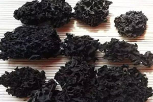 血耳的營養(yǎng)價值 血耳的功效與作用 血耳的營養(yǎng)價值 血耳的功效與作用