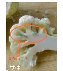 花菜怎么洗才干凈？一定要把蟲子洗掉
