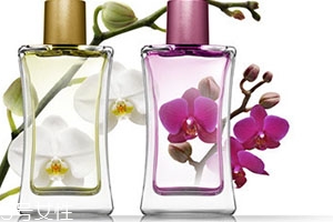 sisley希思黎香水哪款好用？