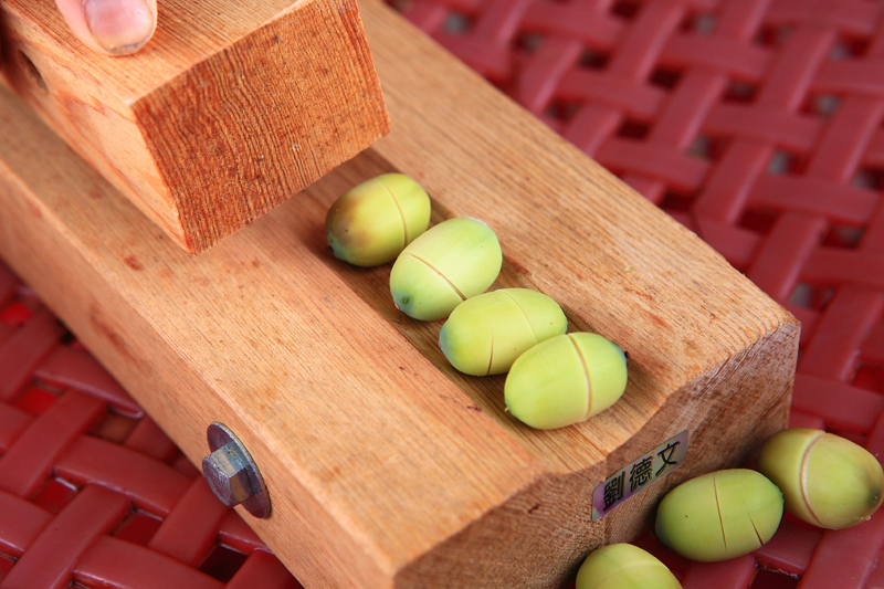 蓮花各部分的作用 全身都是寶 蓮花各部分的作用 全身都是寶