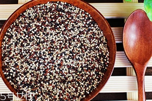 藜麥可以蒸米飯嗎？藜麥蒸米飯要泡嗎？