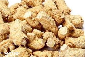 西洋參是哪里產(chǎn)的？長(zhǎng)白山為主要產(chǎn)地