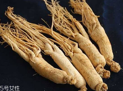 西洋參會過期嗎？答案是肯定的