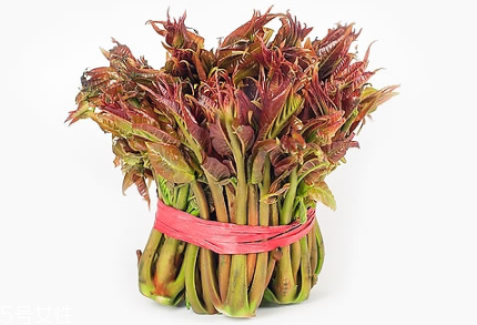 香椿怎樣長期保存？這樣做可儲存一年