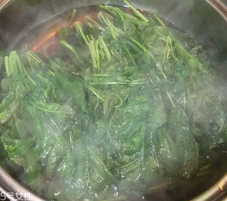 香椿涼拌怎么做好吃？超級簡單的3道開胃菜