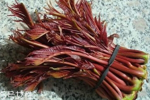 香椿涼拌怎么做好吃？超級簡單的3道開胃菜