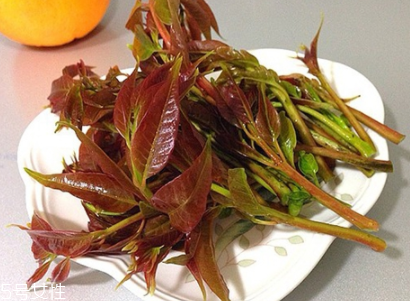 香椿吃了上火嗎？怕上火吃涼拌香椿