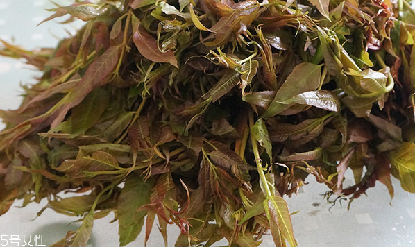 香椿水餃怎么做好吃？超詳細香椿豆腐餃子做法