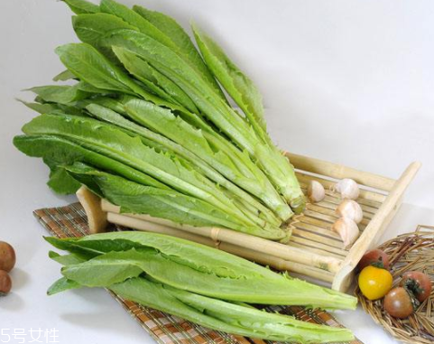 油麥菜怎么涼拌好吃？加點麻醬調(diào)味