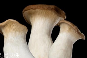 杏鮑菇怎么洗才干凈？鹽水泡泡輕松去污