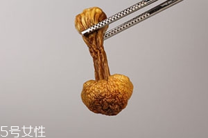 姬松茸多少錢一斤？