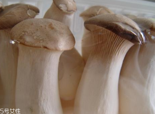 杏鮑菇生酶了能吃嗎？長毛了也能吃