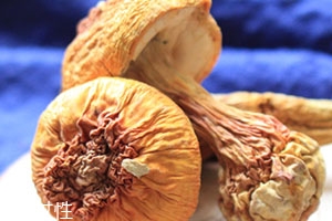 姬松茸怎么泡發(fā)怎么清洗 姬松茸怎么泡發(fā)怎么清洗