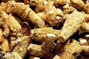 西洋參會過敏嗎？不排除這種可能