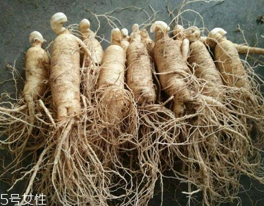 西洋參會推遲月經嗎？這個是有可能的