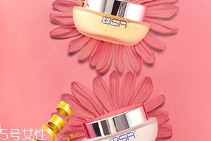 bsr博生能是什么牌子？哪國(guó)的