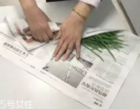 韭菜怎么保存時間長？真空保存最持久