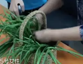 韭菜怎么保存時間長？真空保存最持久