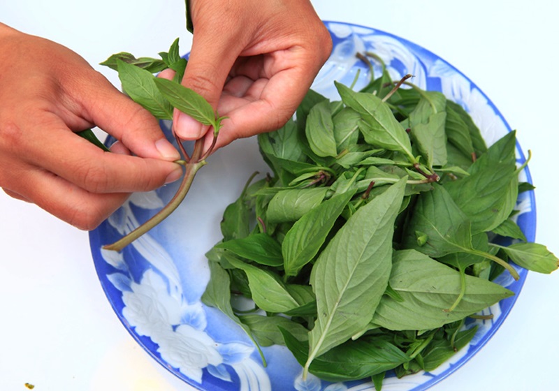 九層塔是什么菜 九層塔怎么保存 九層塔是什么菜 九層塔怎么保存