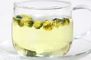 白菊泡水喝的功效 沖泡方法 白菊泡水喝的功效 沖泡方法