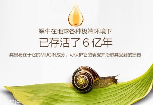 蝸牛原液的作用和副作用 蝸牛原液的作用和副作用